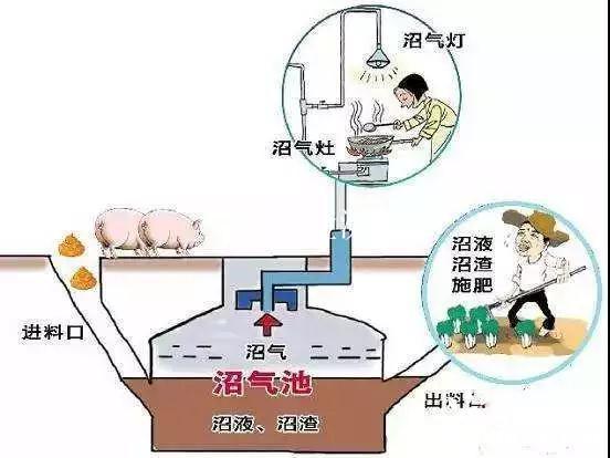 沼气检测
