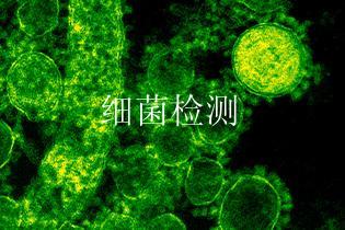 细菌检测